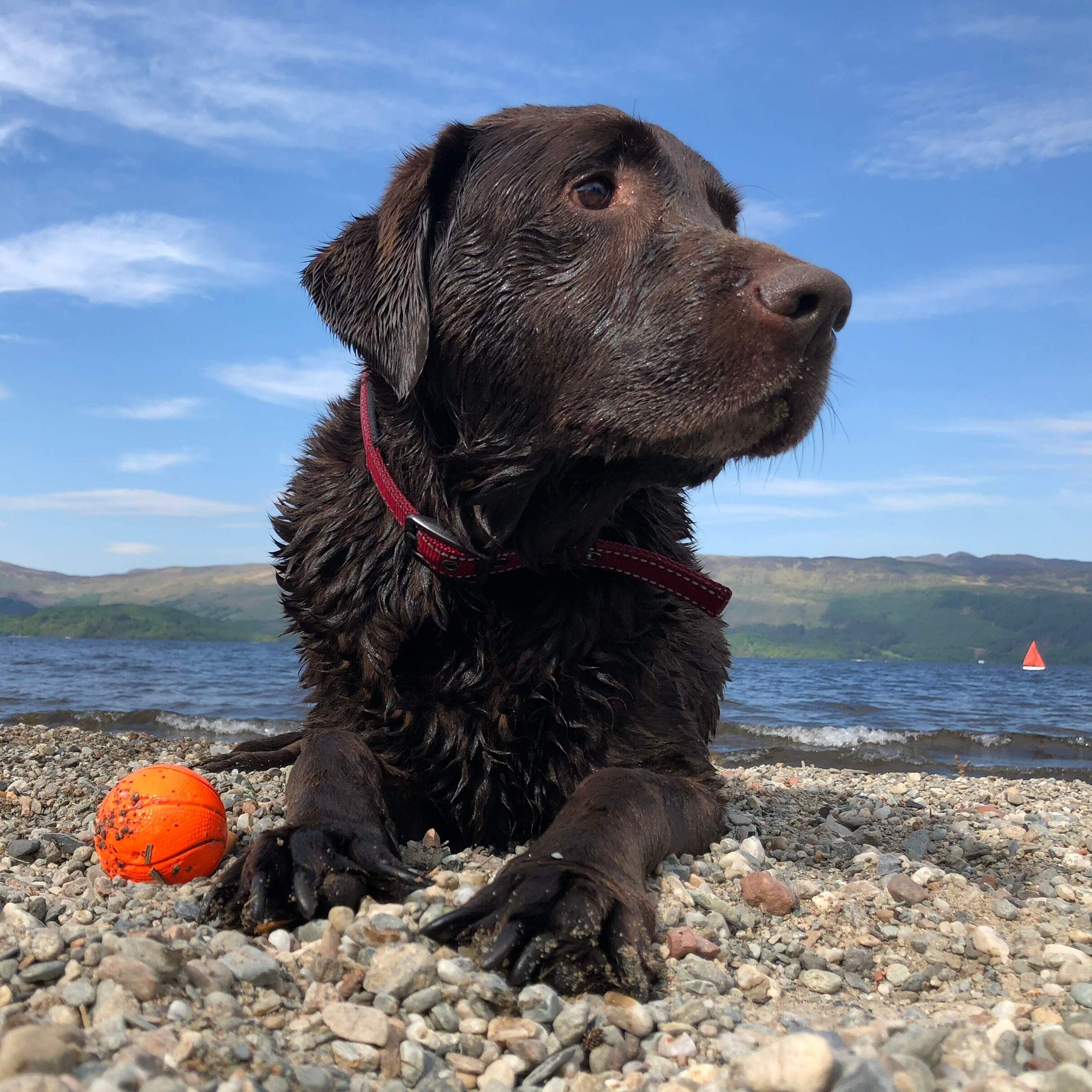 Personal photo